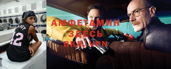 ECSTASY Алзамай